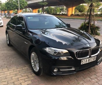 BMW 5 Series 520i 2014 - Bán BMW 5 Series 520i năm 2014, màu đen, xe nhập