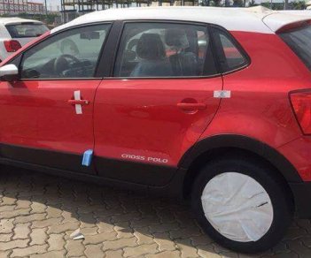 Volkswagen Polo Cross Polo 2018 - Bán Volkswagen Polo Cross Polo 2018, màu đỏ, nhập khẩu nguyên chiếc, giá tốt