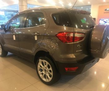 Ford EcoSport 2018 - Cần bán xe Ford EcoSport sản xuất 2018, màu xám, 648 triệu