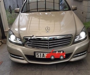 Mercedes-Benz C class C250 Blue 1.8 2012 - Bán Mercedes C250 Blue 1.8 2012, màu xám, nhập khẩu 