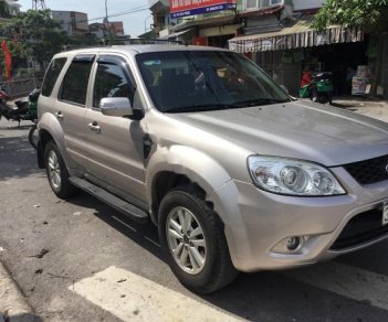 Ford Escape XLT 2.3L 4x4 AT 2010 - Cần bán xe Ford Escape XLT 2.3L 4x4 AT sản xuất 2010 giá cạnh tranh