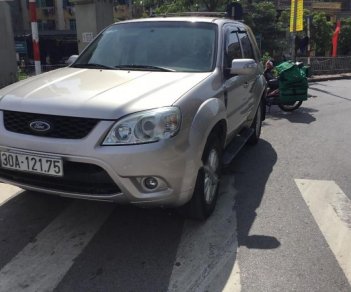 Ford Escape XLT 2.3L 4x4 AT 2010 - Cần bán xe Ford Escape XLT 2.3L 4x4 AT sản xuất 2010 giá cạnh tranh