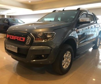 Ford Ranger XLS 2.2L 4x2 MT 2016 - Bán Ford Ranger XLS 2.2L 4x2 MT 2016, màu xám, nhập khẩu nguyên chiếc  