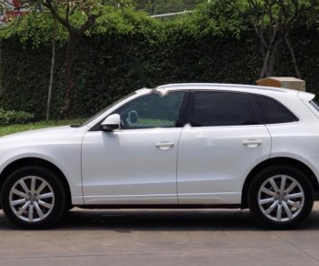 Audi Q5 2009 - Cần bán lại xe Audi Q5 2009, màu trắng, xe nhập