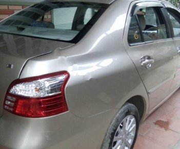 Toyota Vios 2010 - Bán Toyota Vios sản xuất năm 2010, màu bạc 