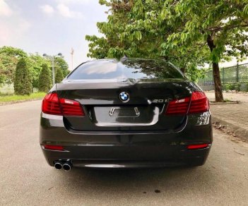 BMW 5 Series 520i 2014 - Cần bán xe BMW 5 Series 520i 2014, màu nâu, xe nhập