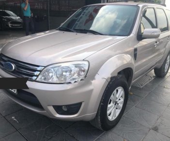 Ford Escape 2009 - Bán xe Ford Escape sản xuất năm 2009, màu hồng phấn