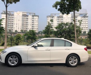 BMW 3 Series 320i 2016 - Bán xe BMW 3 Series 320i đời 2016, màu trắng, xe nhập