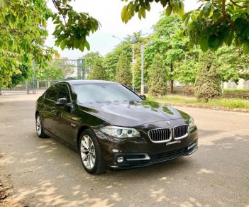 BMW 5 Series 520i 2014 - Cần bán xe BMW 5 Series 520i 2014, màu nâu, xe nhập