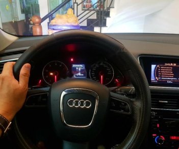 Audi Q5 2.0 Turbo Quattro  2010 - Bán Audi Q5 2.0 Turbo Quattro sản xuất năm 2010, màu bạc, nhập khẩu