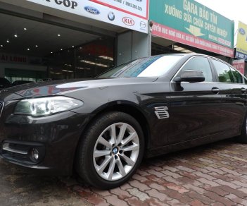 BMW 5 Series 520I 2016 - Cần bán BMW 5 Series 520I đời 2016, màu nâu, nhập khẩu