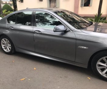 BMW 5 Series 520i 2012 - Cần bán xe BMW 5 Series 520i sản xuất 2012, màu xám, nhập khẩu