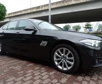 BMW 5 Series 520I 2016 - Cần bán BMW 5 Series 520I đời 2016, màu nâu, nhập khẩu