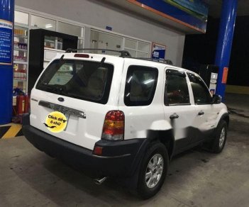 Ford Escape  2.0  2003 - Bán xe Ford Escape 2.0 đời 2003, màu trắng, 235 triệu