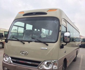 Hyundai County Limousine 2017 - Bán Hyundai County Limousine năm sản xuất 2017, màu kem (be)