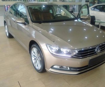 Volkswagen Passat 1.8TSI 2017 - Bán xe Volkswagen Passat 1.8TSI đời 2017, màu nâu, xe nhập