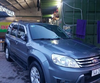 Ford Escape XLT 2.3L 4x4 AT 2009 - Bán xe Ford Escape XLT 2.3L 4x4 AT đời 2009, màu xanh lam, giá tốt