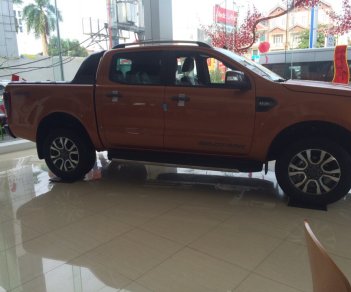 Ford Ranger Wildtrak 3.2L 4X4 AT 2017 - Bán Ford Ranger Wildtrak, XLT, XLS, XL tại Thái Nguyên, giá tốt, đủ màu, giao ngay. Lh: 0987987588