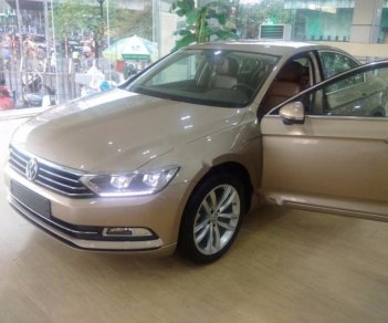 Volkswagen Passat 1.8TSI 2017 - Bán xe Volkswagen Passat 1.8TSI đời 2017, màu nâu, xe nhập