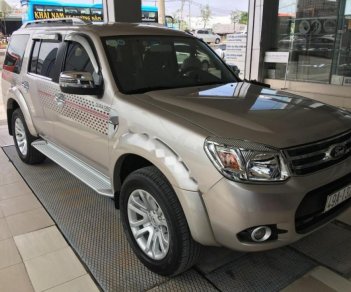 Ford Everest 2013 - Bán xe Ford Everest năm sản xuất 2013, màu vàng, 660 triệu