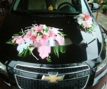 Chevrolet Cruze 2010 - Bán xe Chevrolet Cruze 2010, màu đen giá cạnh tranh