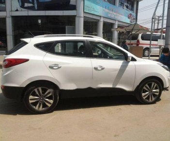 Hyundai Tucson 2010 - Cần bán xe Hyundai Tucson đời 2010, màu trắng, nhập khẩu  