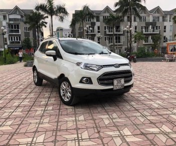 Ford EcoSport 2015 - Bán xe Ford EcoSport sản xuất năm 2015, màu trắng chính chủ