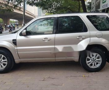 Ford Escape 2008 - Bán xe Ford Escape 2008, màu vàng cát