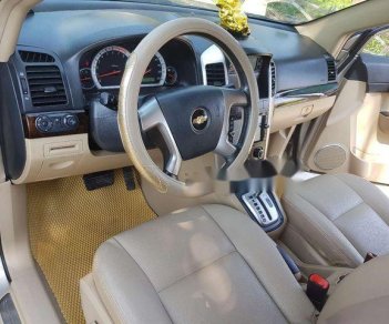 Chevrolet Captiva 2009 - Bán Chevrolet Captiva sản xuất 2009, giá chỉ 355 triệu