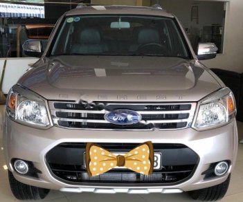 Ford Everest 2013 - Bán Ford Everest sản xuất năm 2013, màu vàng