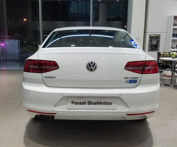 Volkswagen Passat 2017 - Bán xe Volkswagen Passat Blue Motion nhập khẩu, hỗ trợ trả góp 80% giá trị xe