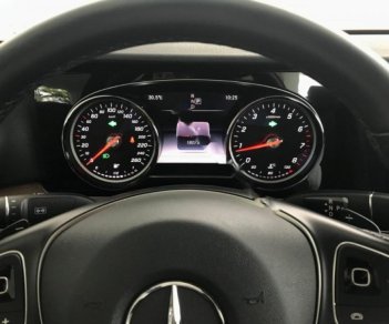 Mercedes-Benz E class E200 2016 - Bán xe Mercedes E200 sản xuất năm 2016, màu bạc