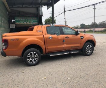 Ford Ranger 2017 - Cần bán Ford Ranger sản xuất 2017, màu nâu, nhập khẩu nguyên chiếc