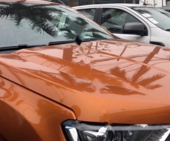 Ford Ranger 2017 - Cần bán Ford Ranger sản xuất 2017, màu nâu, nhập khẩu nguyên chiếc