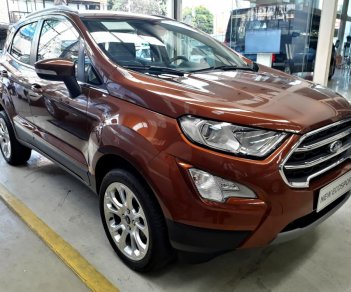 Ford EcoSport 1.0 Ecoboost Titanium+ 2018 - Bán ô tô Ford EcoSport 1.0 Ecoboost Titanium+ 2018, màu nâu, giá 689tr