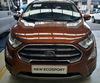 Ford EcoSport 1.0 Ecoboost Titanium+ 2018 - Bán ô tô Ford EcoSport 1.0 Ecoboost Titanium+ 2018, màu nâu, giá 689tr