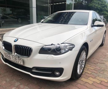 BMW 5 Series 520i 2016 - Cần bán lại xe BMW 5 Series 520i đời 2016, màu trắng, nhập khẩu