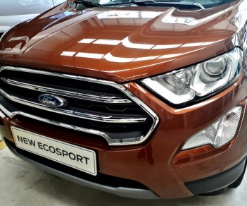 Ford EcoSport 1.0 Ecoboost Titanium+ 2018 - Bán ô tô Ford EcoSport 1.0 Ecoboost Titanium+ 2018, màu nâu, giá 689tr