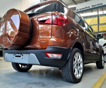 Ford EcoSport 1.0 Ecoboost Titanium+ 2018 - Bán ô tô Ford EcoSport 1.0 Ecoboost Titanium+ 2018, màu nâu, giá 689tr