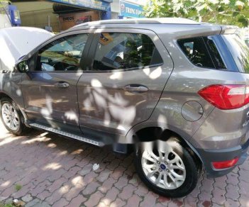 Ford EcoSport   Titanium  2016 - Bán Ford EcoSport Titanium sản xuất năm 2016, màu xám 