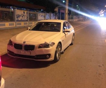 BMW 5 Series 520i 2015 - Bán ô tô BMW 5 Series 520i năm sản xuất 2015, màu trắng, nhập khẩu nguyên chiếc số tự động