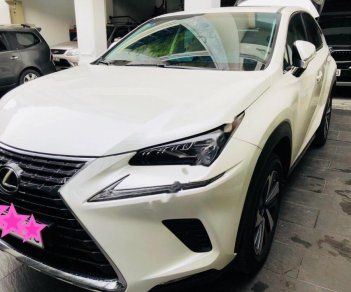 Lexus NX  300 2017 - Bán Lexus NX 300 sản xuất 2017, màu trắng, xe nhập  