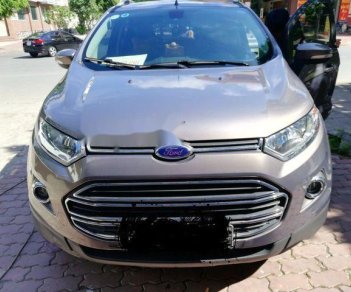 Ford EcoSport   Titanium  2016 - Bán Ford EcoSport Titanium sản xuất năm 2016, màu xám 