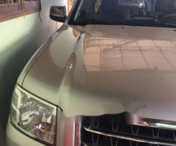 Ford Everest 2007 - Bán Ford Everest đời 2007, màu xám 