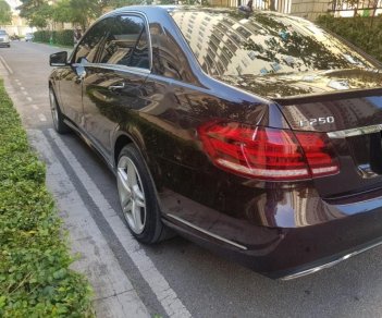 Mercedes-Benz E class E250 2014 - Cần bán xe Mercedes E250 sản xuất 2014, màu nâu