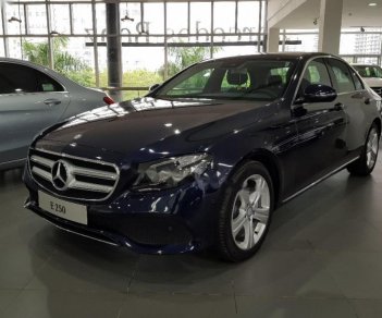 Mercedes-Benz E class E250 2018 - Bán xe Mercedes E250 đời 2018, màu xanh lam