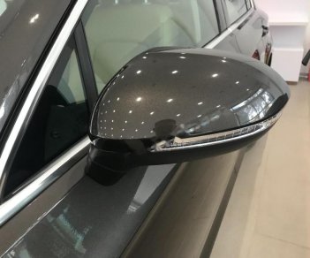 Volkswagen Passat 1.8 Bluemotion 2018 - Bán xe Volkswagen Passat 1.8 Bluemotion sản xuất 2018, màu xám, nhập khẩu