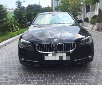 BMW 5 Series 520i 2015 - Bán ô tô BMW 5 Series 520i năm 2015, màu đen, xe nhập