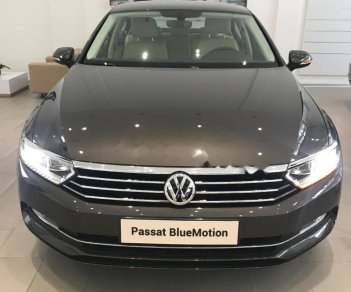 Volkswagen Passat 1.8 Bluemotion 2018 - Bán xe Volkswagen Passat 1.8 Bluemotion sản xuất 2018, màu xám, nhập khẩu