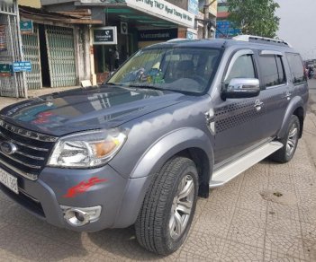 Ford Everest 2.5L 4x2 AT 2010 - Cần bán gấp Ford Everest 2.5L 4x2 AT năm sản xuất 2010, màu xám xe gia đình